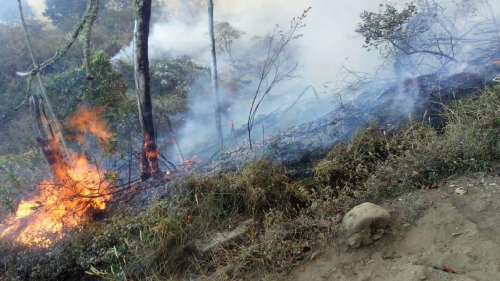 Puncak Gunung Ciremai Kebakaran Seluruh Jalur Pendakian Ditutup | Detak ...