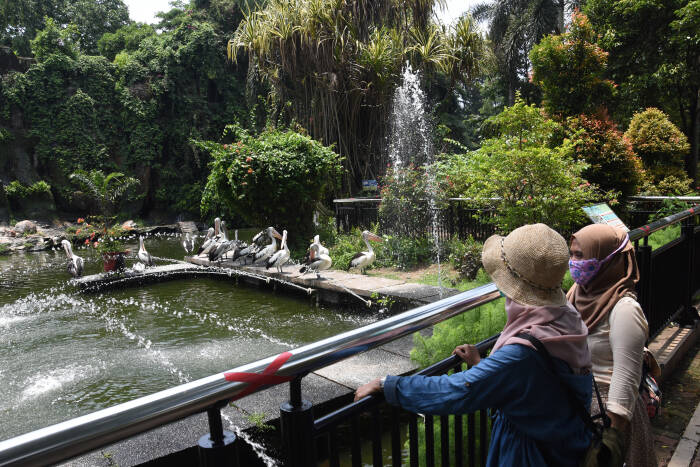 Wisatawan Kunjungi Taman Ragunan Selama Libur Panjang Detak Co