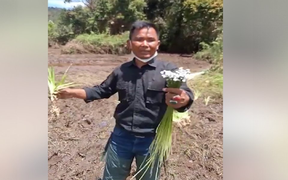Viral Petani Marah Kebun Edelweiss di Ranca Upas Hancur Gara-gara Dipakai Balap Trail