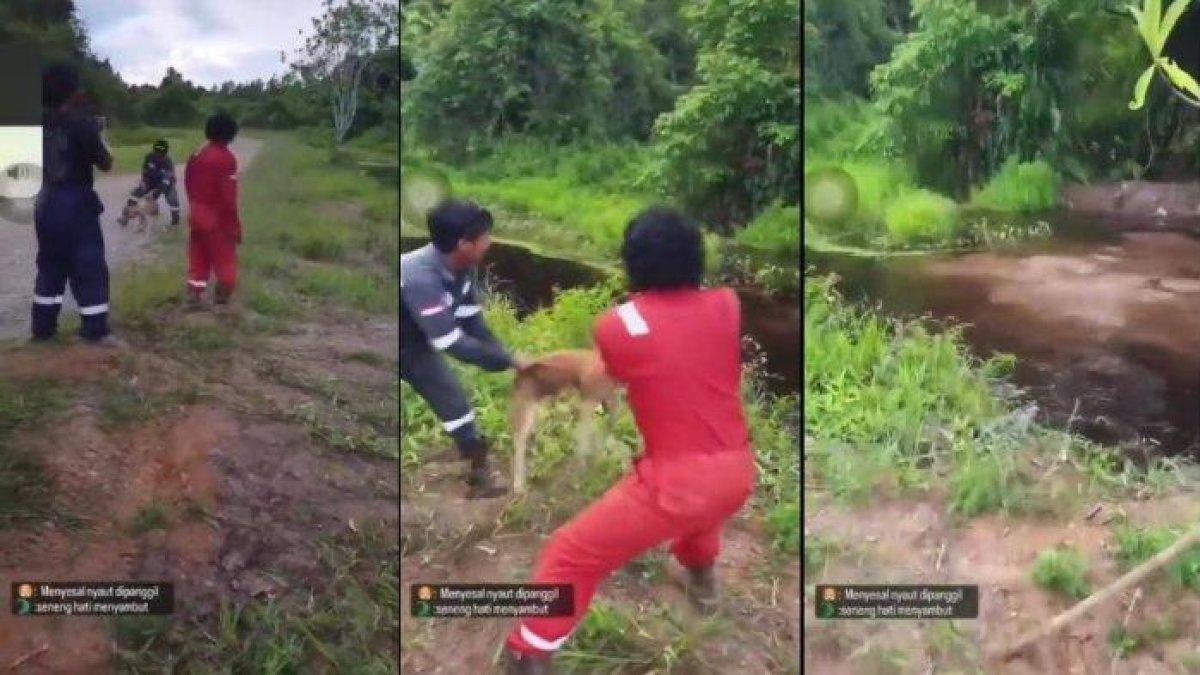 Viral Buang Anjing Hingga Diterkam Buaya 3 Pria Diamankan | Detak.co |  Nasional