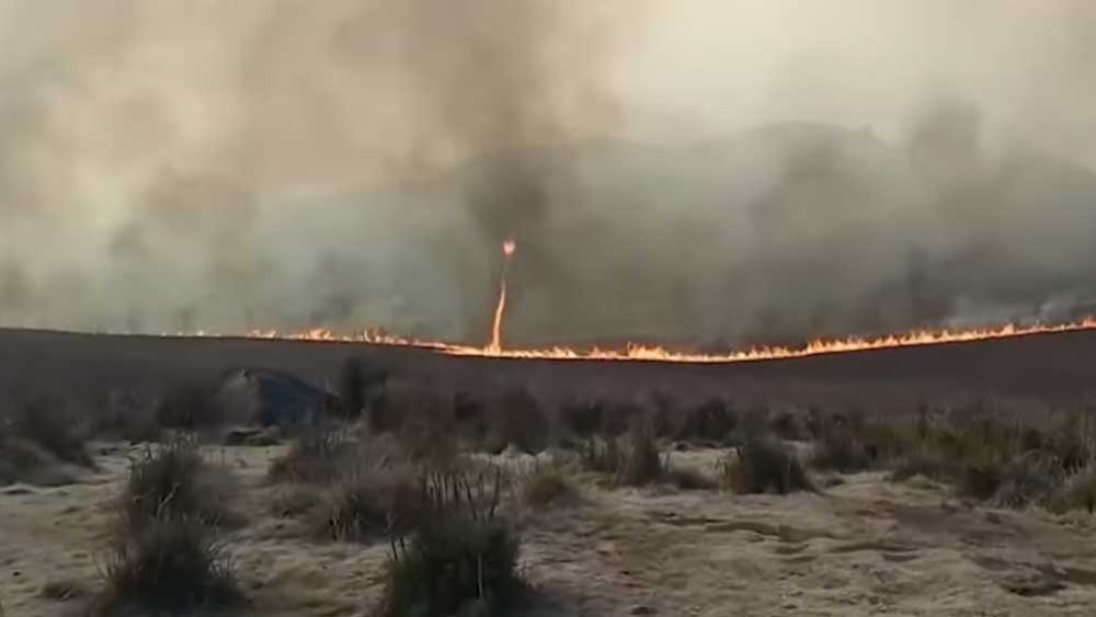 BMKG: Tornado Api di Bukit Teletubbies Bromo Disebut Fenomena Dust Devil