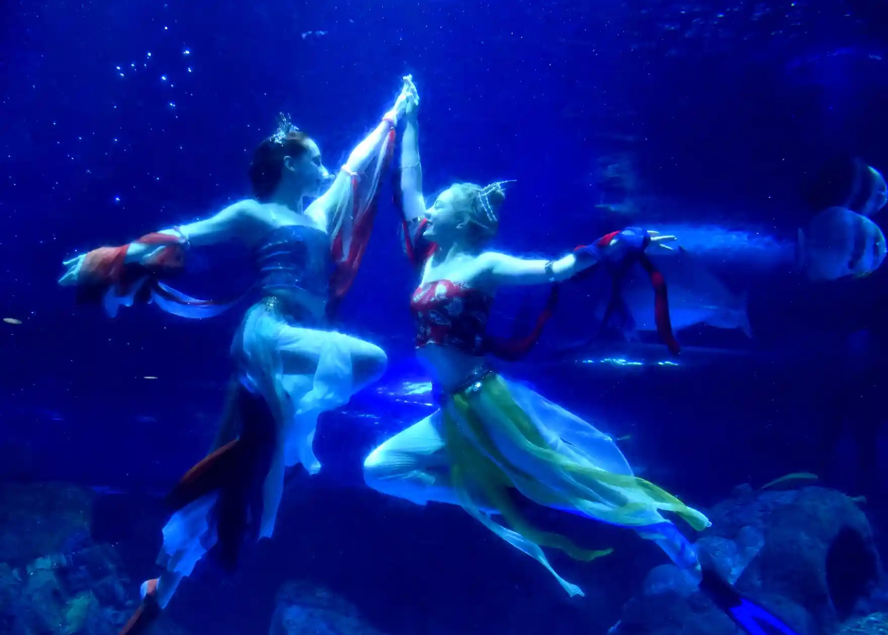 Tarian Bidadari Terbang di Bawah Air