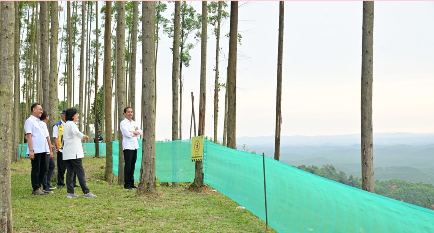 Pagi Hari di IKN, Presiden Tunjukkan Para Menteri Pemandangan IKN dari Atas Bukit