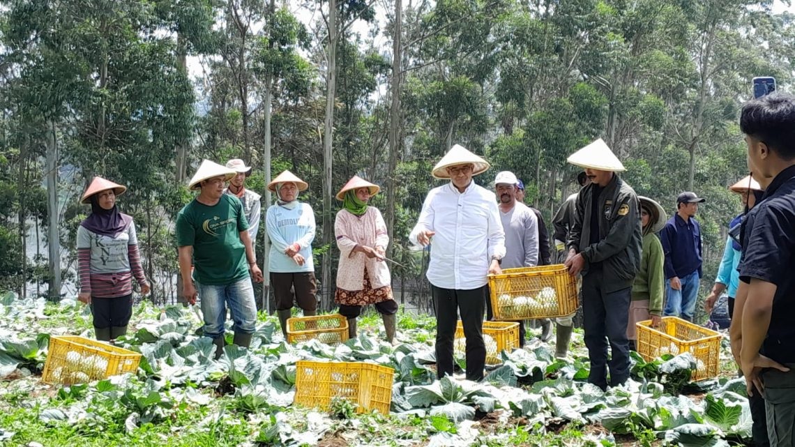 Petani-Peternak Pangalengan Belajar Inovasi Teknologi Pertanian dari Timnas AMIN dan Pendiri Tokopedia