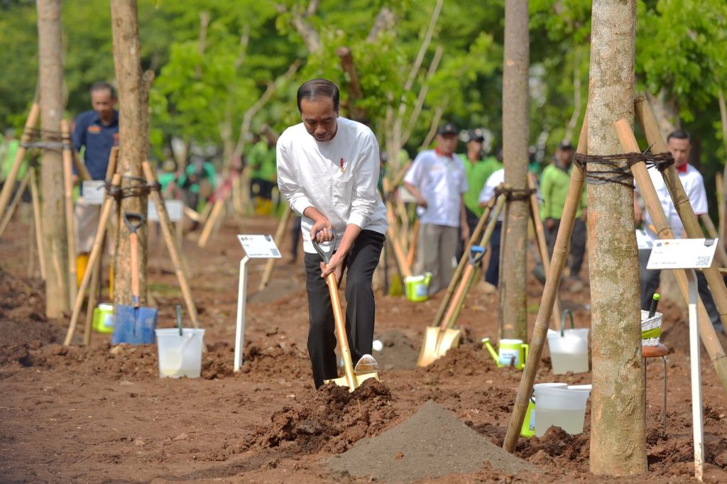 Tanam Pohon Bersama di Pulo Gadung, Jokowi: Atasi Polusi dan Antisipasi Perubahan Iklim