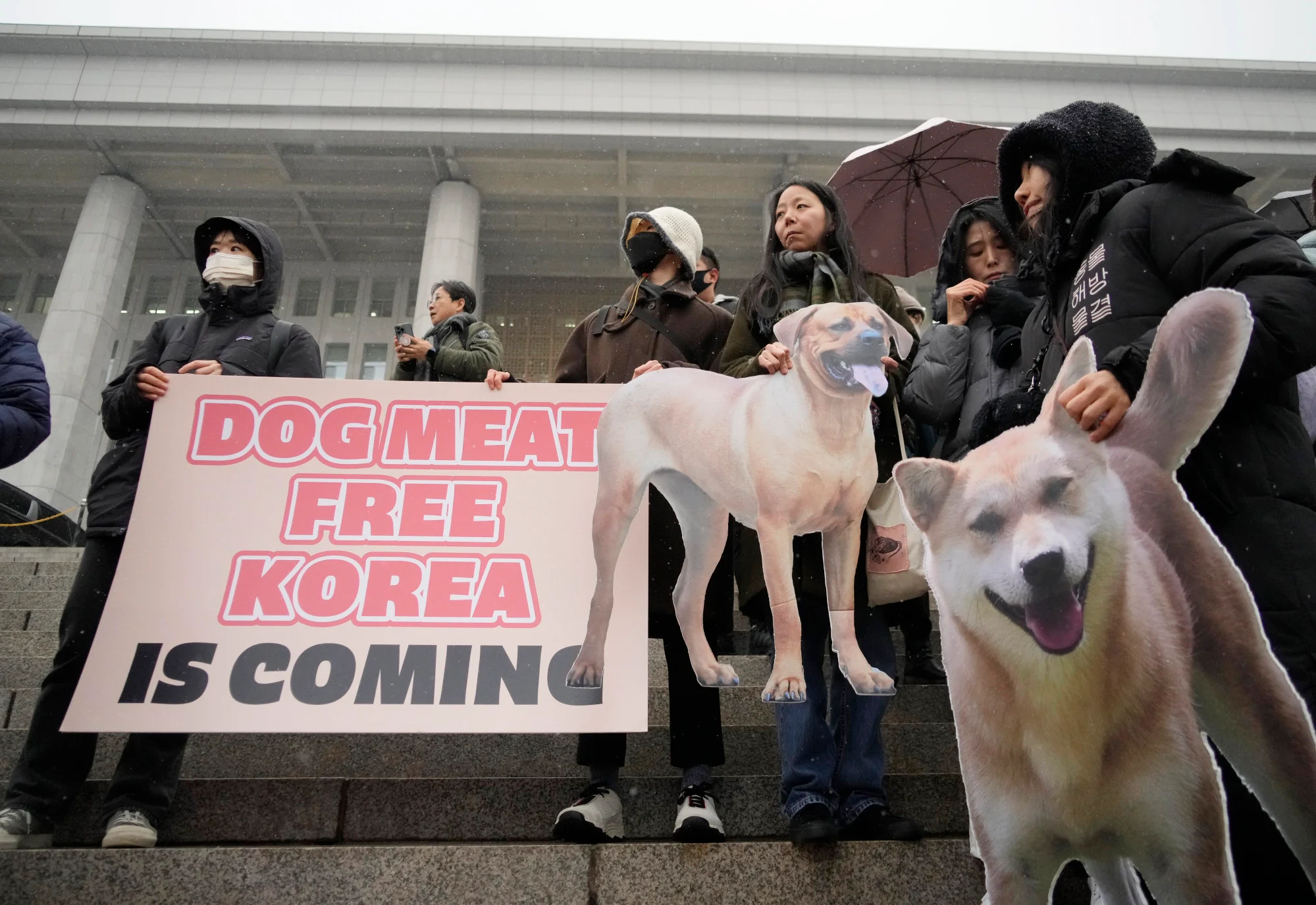 Korea Selatan Resmi Larang Perdagangan Daging Anjing