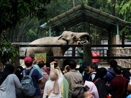 Long Weekend, Taman Margasatwa Ragunan Dikunjungi 108.000 Wisatawan