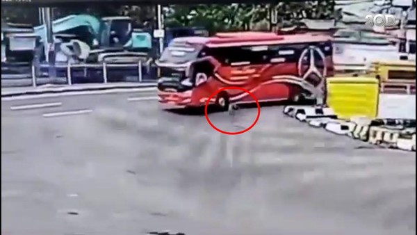 Minta Klakson Telolet, Bocah 5 Tahun Tewas Terlindas Bus di Pelabuhan Merak