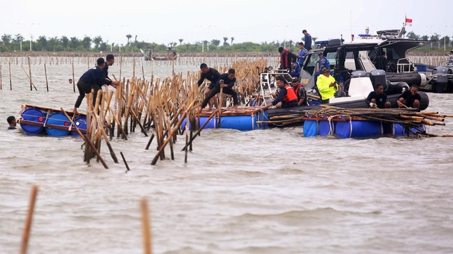 TNI AL Pastikan Pagar Laut di Tangerang Terbongkar Semua Hari Ini