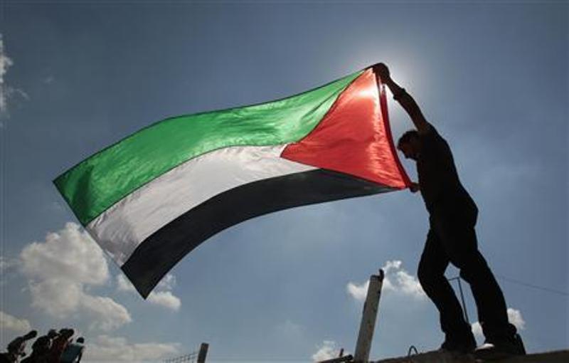 Mardani Ali Sera: Indonesia Konsisten Perjuangkan Kemerdekaan Palestina