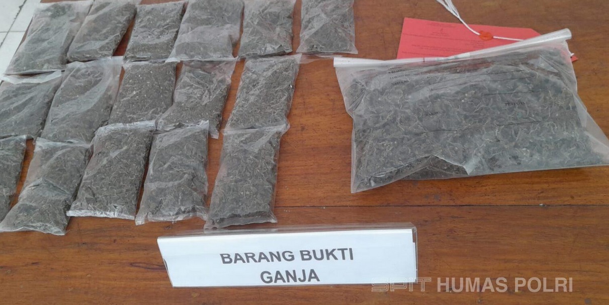 3 Pengedar Narkoba di Jayapura Ditangkap