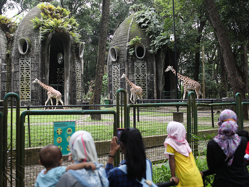 Libur Tahun Baru Islam, Ragunan Dipadati 19.675 Pengunjung