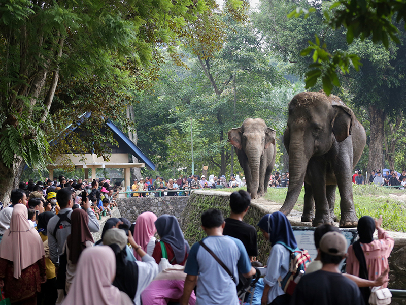 Long Weekend, Ragunan Dipadati 134.943 Pengunjung