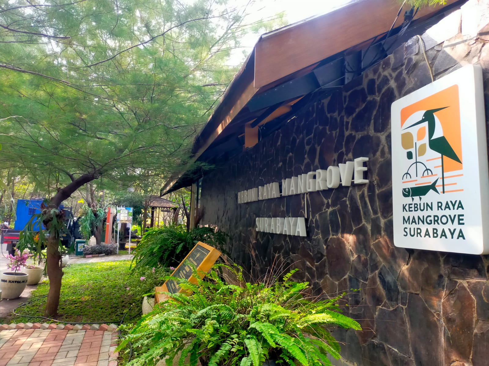 Kebun Raya Mangrove Surabaya Siap Optimalkan Enam Fungsi Ekosistem