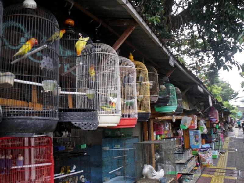 Pedagang Pasar Barito Akan Direlokasi Sementara ke Kios Perumda Pasar Jaya
