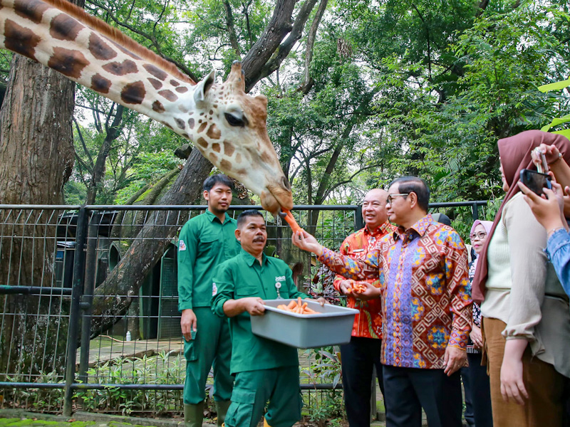 Pemprov DKI Bakal Revitalisasi Kawasan Taman Margasatwa Ragunan Jadi Lebih Menarik