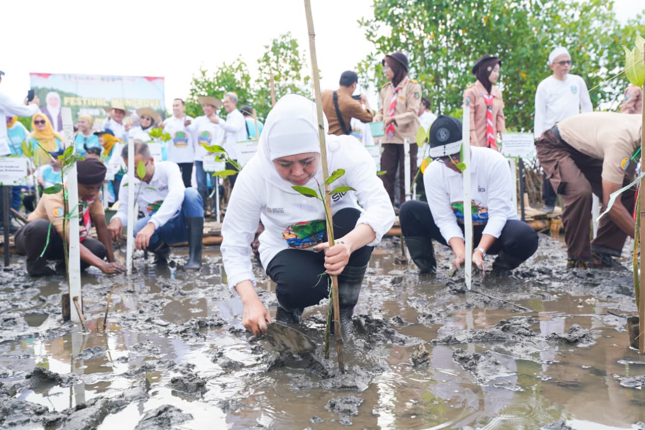 Festival Mangrove Momentum Kuatkan Potensi Ekonomi Biru di Jatim, Gubernur Khofifah Ajak Semua Jaga Ekosistem Mangrove