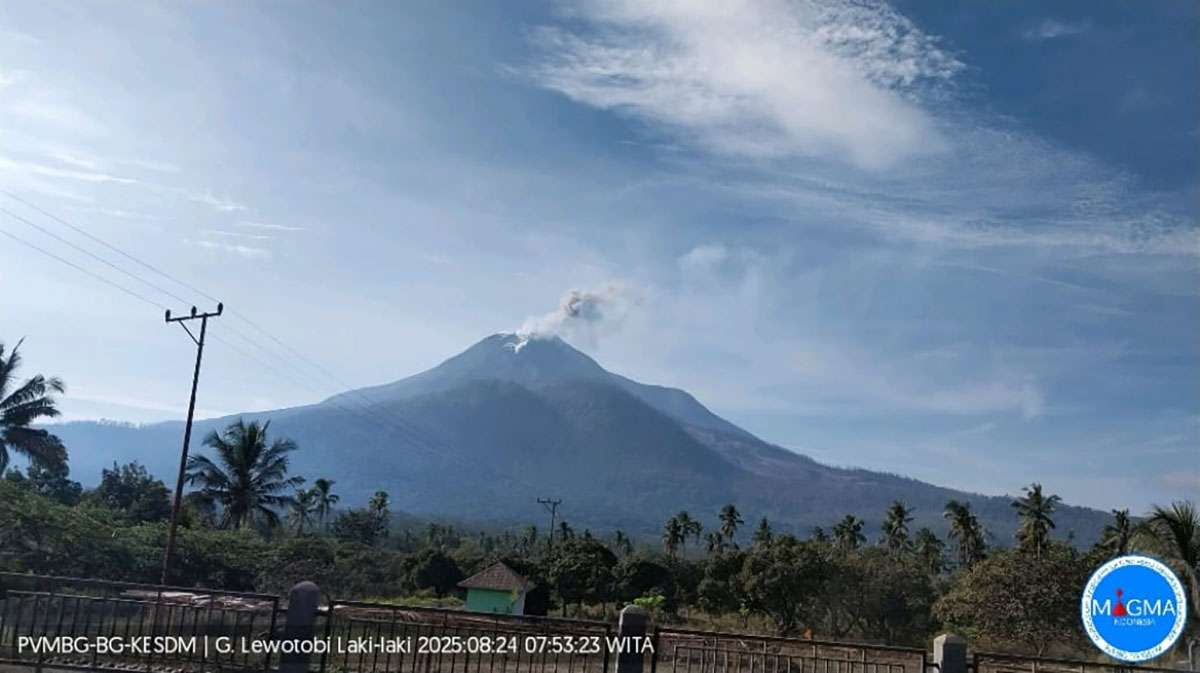 Aktivitas Menurun, Status Gunung Lewotobi Laki-laki Turun Jadi Siaga