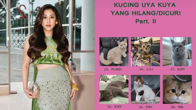 Sherina Munaf Bantu Evakuasi Kucing Uya Kuya