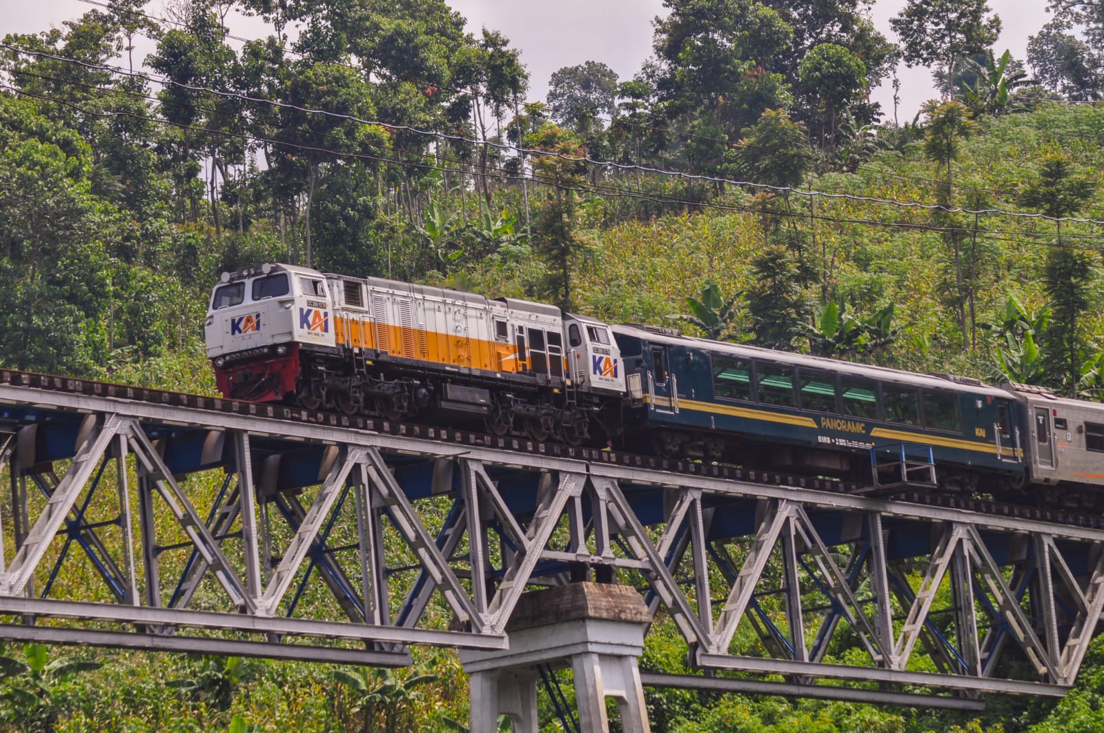 Kereta Panoramic: Perjalanan Berkelas dengan Panorama Jalur Selatan Jawa yang Eksotis