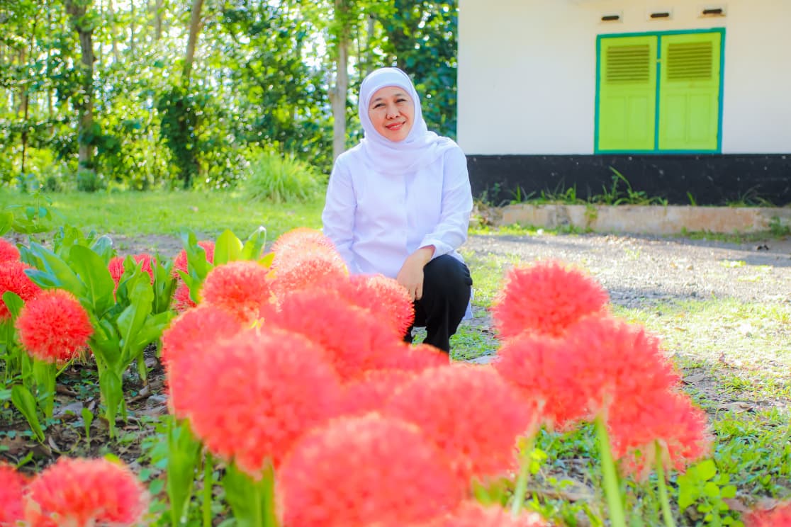 Gubernur Khofifah Kagumi Pesona Bunga Desember, Flora Langka Kebanggaan Bondowoso