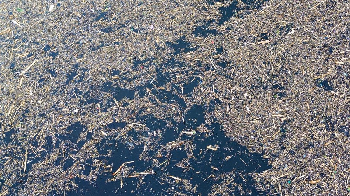 FOTO: Ribuan Kayu Gelondongan Berserakan Pasca Banjir Bandang di Solok