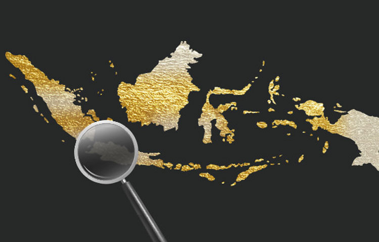 Mewujudkan Visi Indonesia Emas 2045