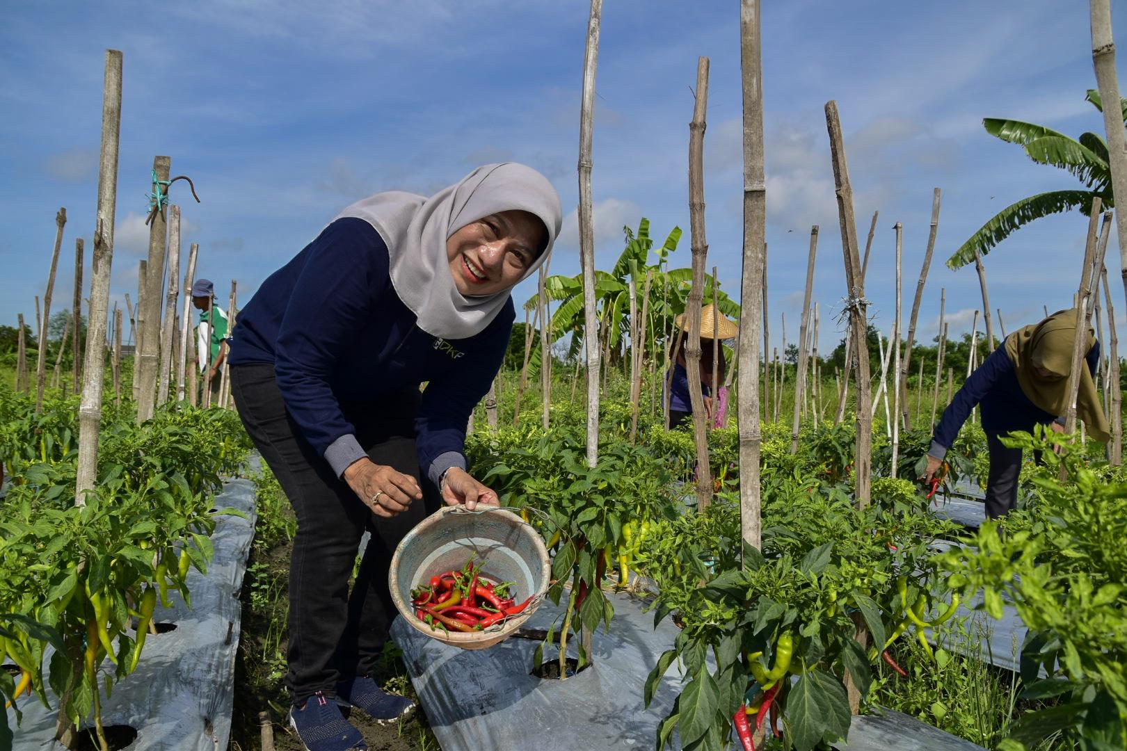 Pemkot Surabaya Pastikan Harga Kebutuhan Pokok Aman dan Stok Melimpah Jelang Nataru
