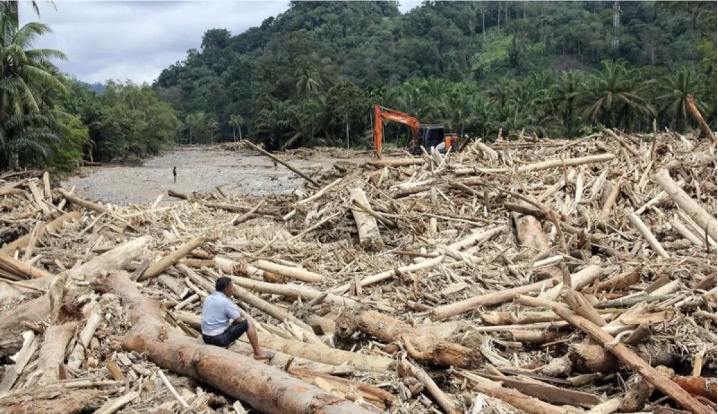 Dugaan Pidana Lingkungan di Tapanuli, Aparat Telusuri Aliran Kayu dan Potensi TPPU