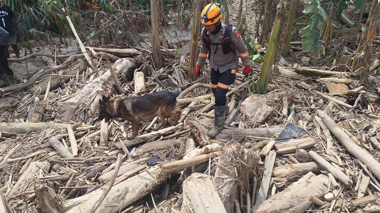 Anjing K-9 Polri Berhasil Temukan Jenazah di Aceh Tamiang