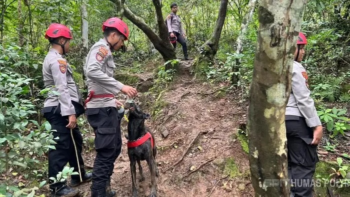 Kerahkan Unit K-9 Cari Korban Pesawat ATR 42-500