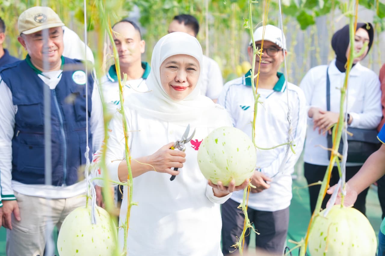 Gubernur Khofifah Resmikan Al Akbar FishTech dan Panen Ratusan Melon Hasil Urban Farming di Smart Green House Berteknologi IoT
