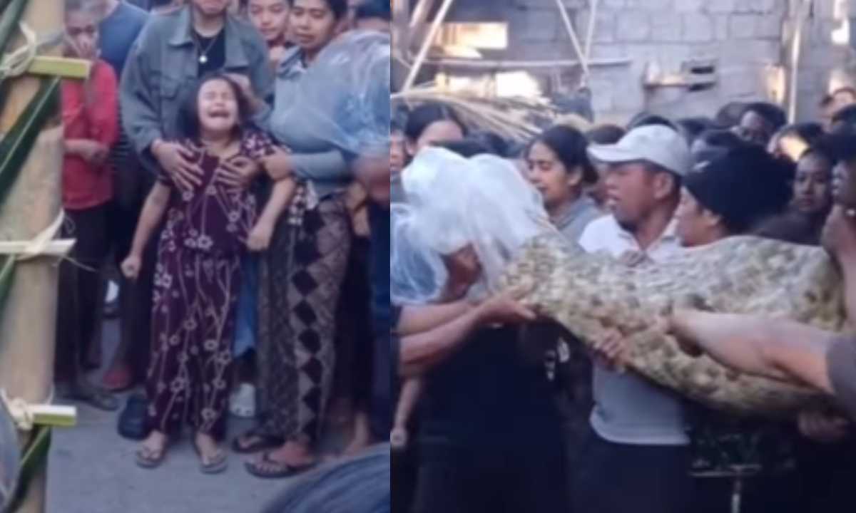 Kasus Dugaan Pencurian Ayam Berujung Maut di Bali, DPR Minta Masyarakat Tidak Main Hakim Sendiri