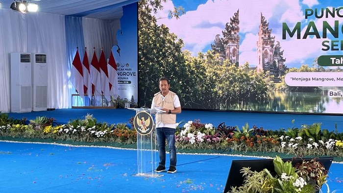 Hilang 40% Mangrove dalam 3 Dekade, KKP Gandeng Pemangku Kebijakan Genjot Rehabilitasi Ekologis