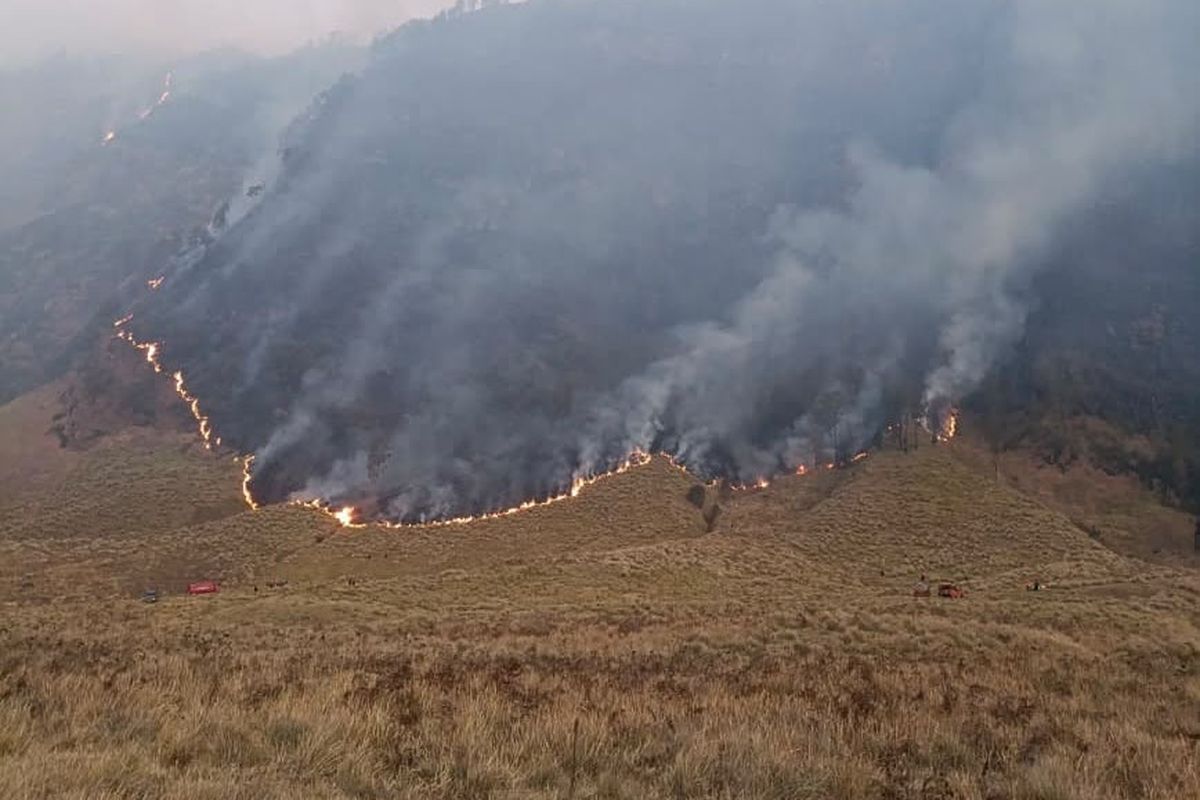 Kebakaran Kawasan Bromo Meluas, Area Terdampak Capai 120 Hektare