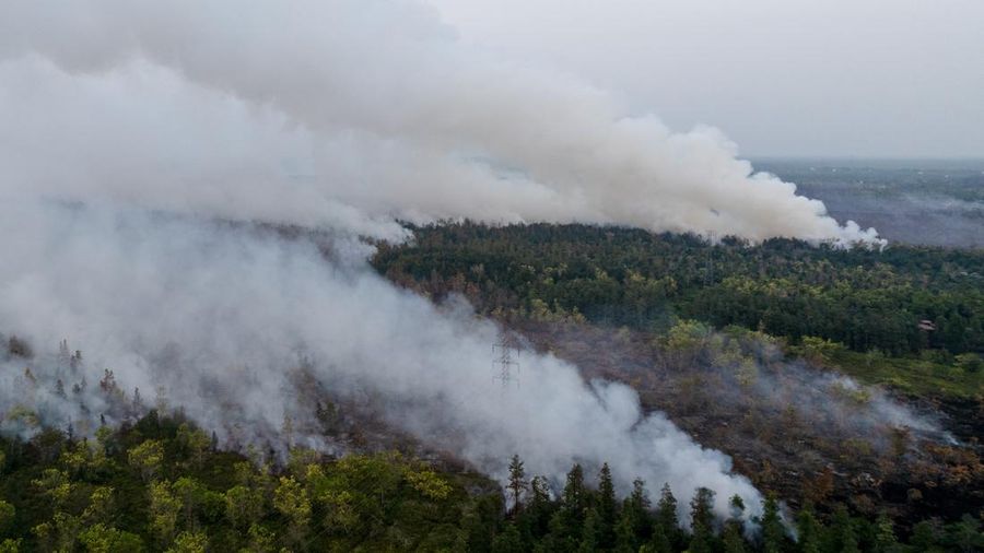 1.487 Hotspot Terdeteksi di Kalimantan, Kalteng Paling Banyak