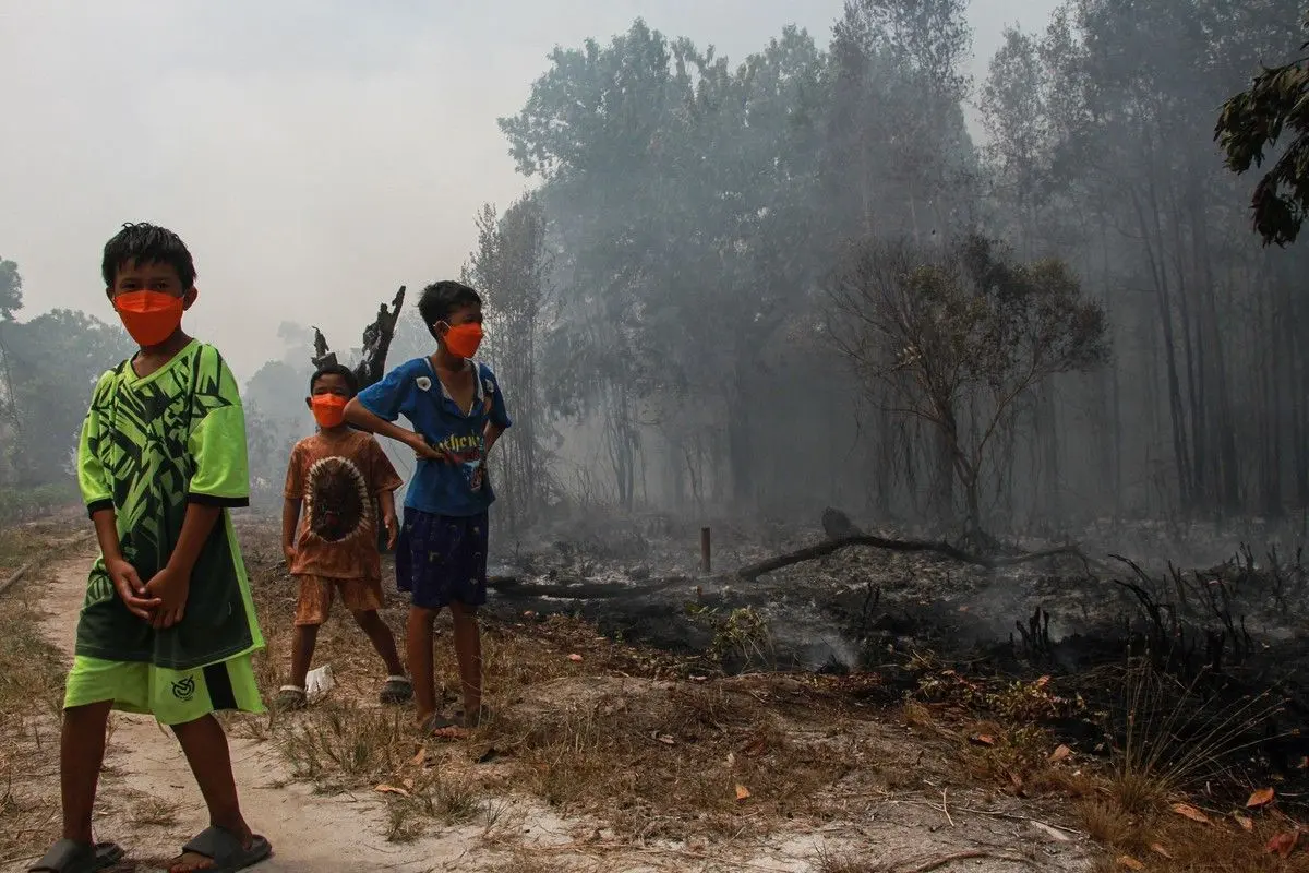 Asap Karhutla Kalimantan Menyeberang ke Malaysia, 108 Sekolah Ditutup