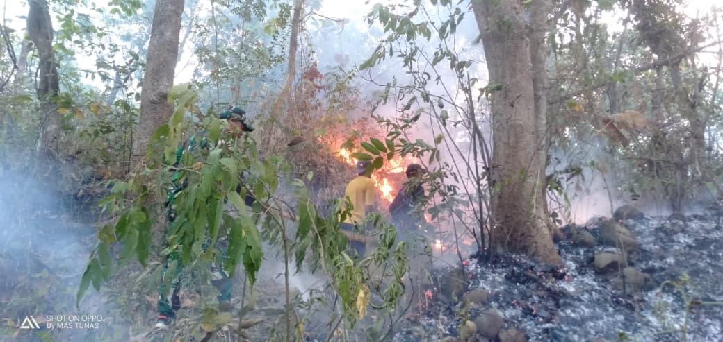 Karhutla Meluas, Pemerintah Prioritaskan Penanganan di 6 Provinsi