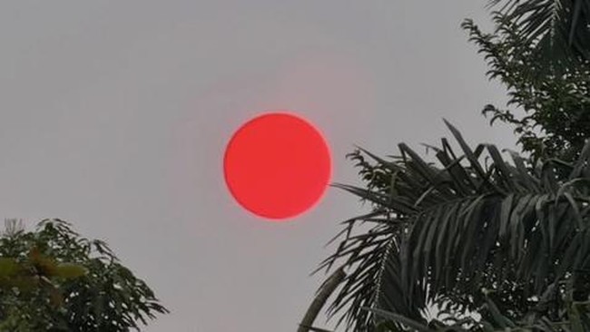 Matahari Merah Membara, Langit Palangka Raya Diselimuti Kabut Asap
