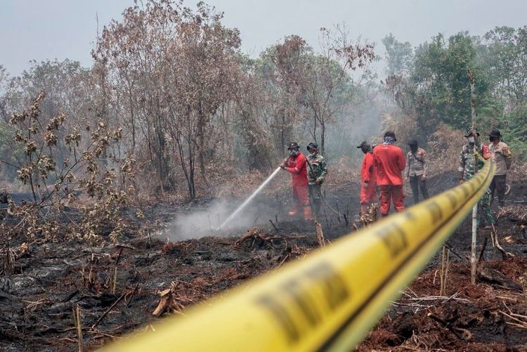 Polisi Kejar Pemodal di Balik Dugaan Pembakaran Hutan di Kalimantan
