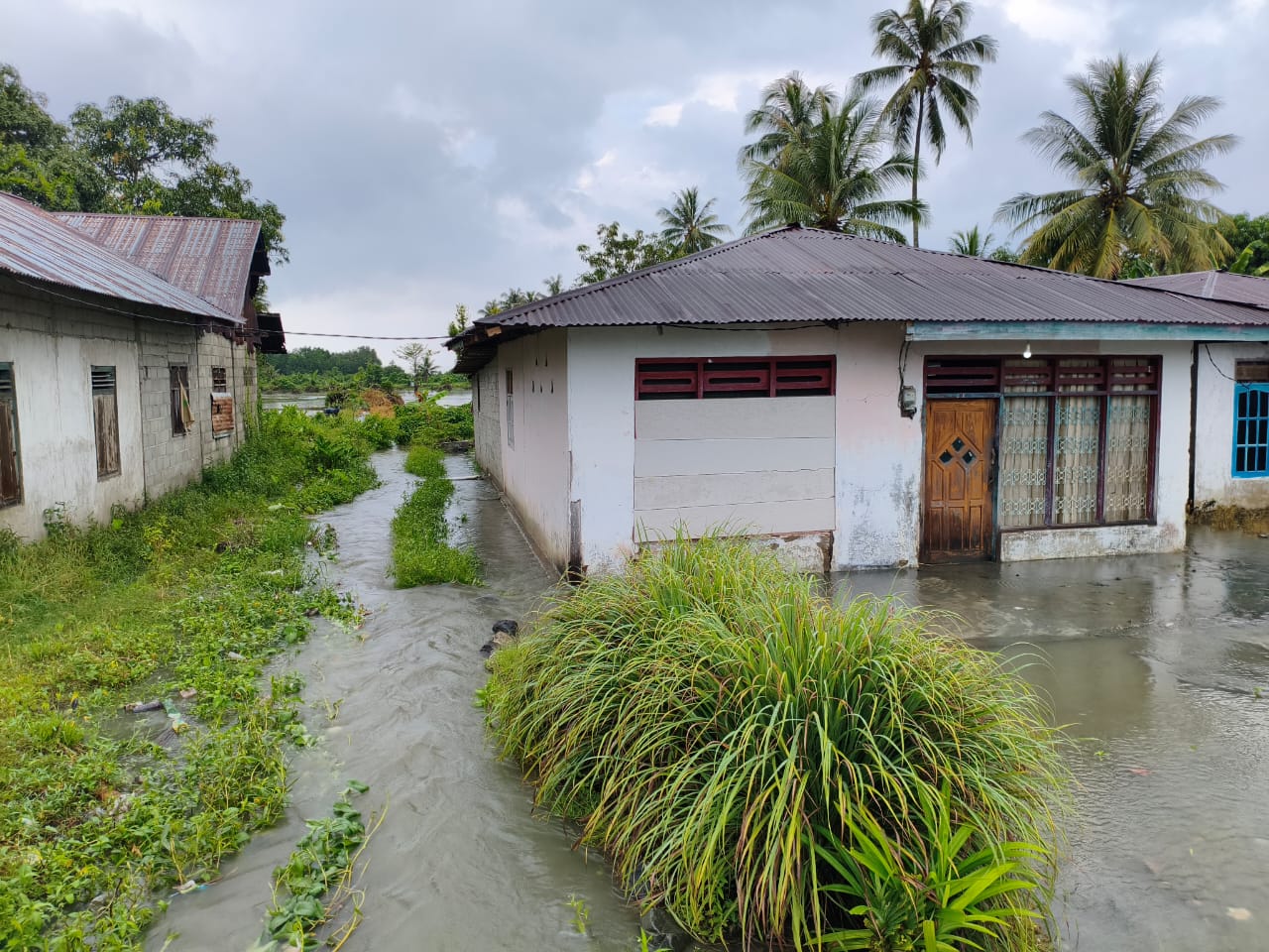 Dari Karhutla hingga Banjir, Ini Update Penanganan Bencana di Tanah Air