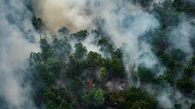 Karhutla Meluas, Gubernur Kalteng Perpanjang Status Tanggap Darurat hingga 29 September