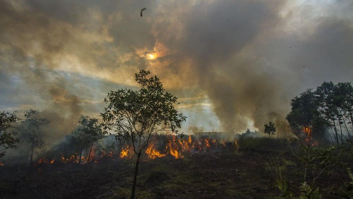 Karhutla Banjar Tembus 450 Titik, Relawan di Garis Depan Tak Boleh Sendirian