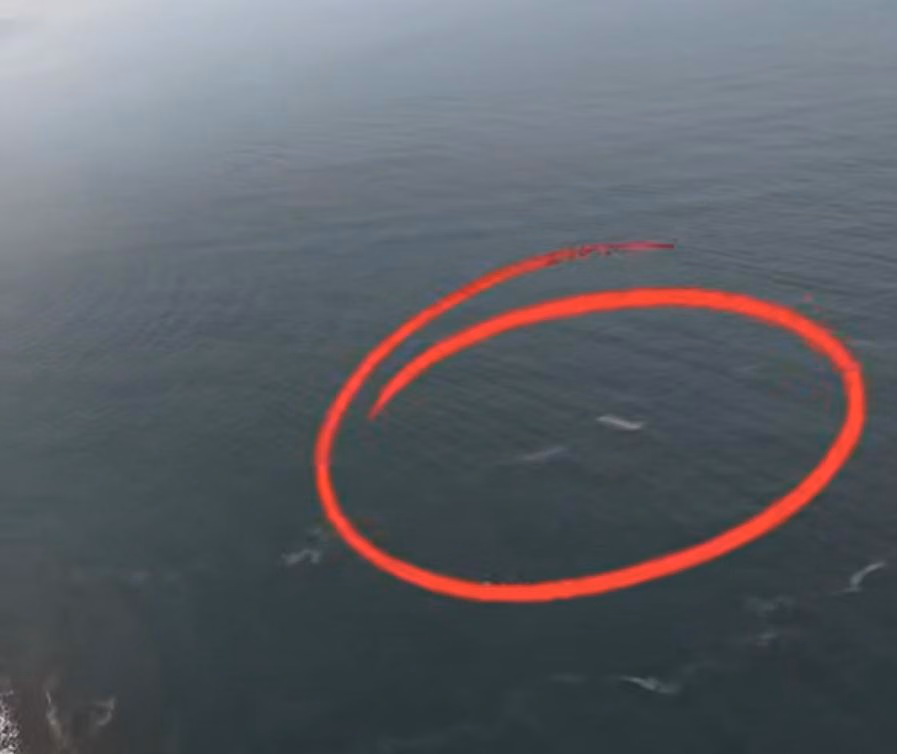 Basarnas Telusuri Video Viral Kapal Terbalik Dekat Anak Krakatau, Hasilnya Nihil