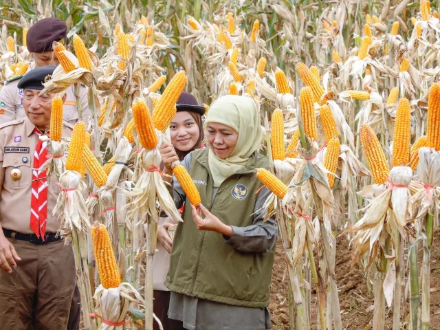 Hari Tani Nasional 2026, Gubernur Khofifah Apresiasi Petani Jatim Penjaga Lumbung Pangan Indonesia